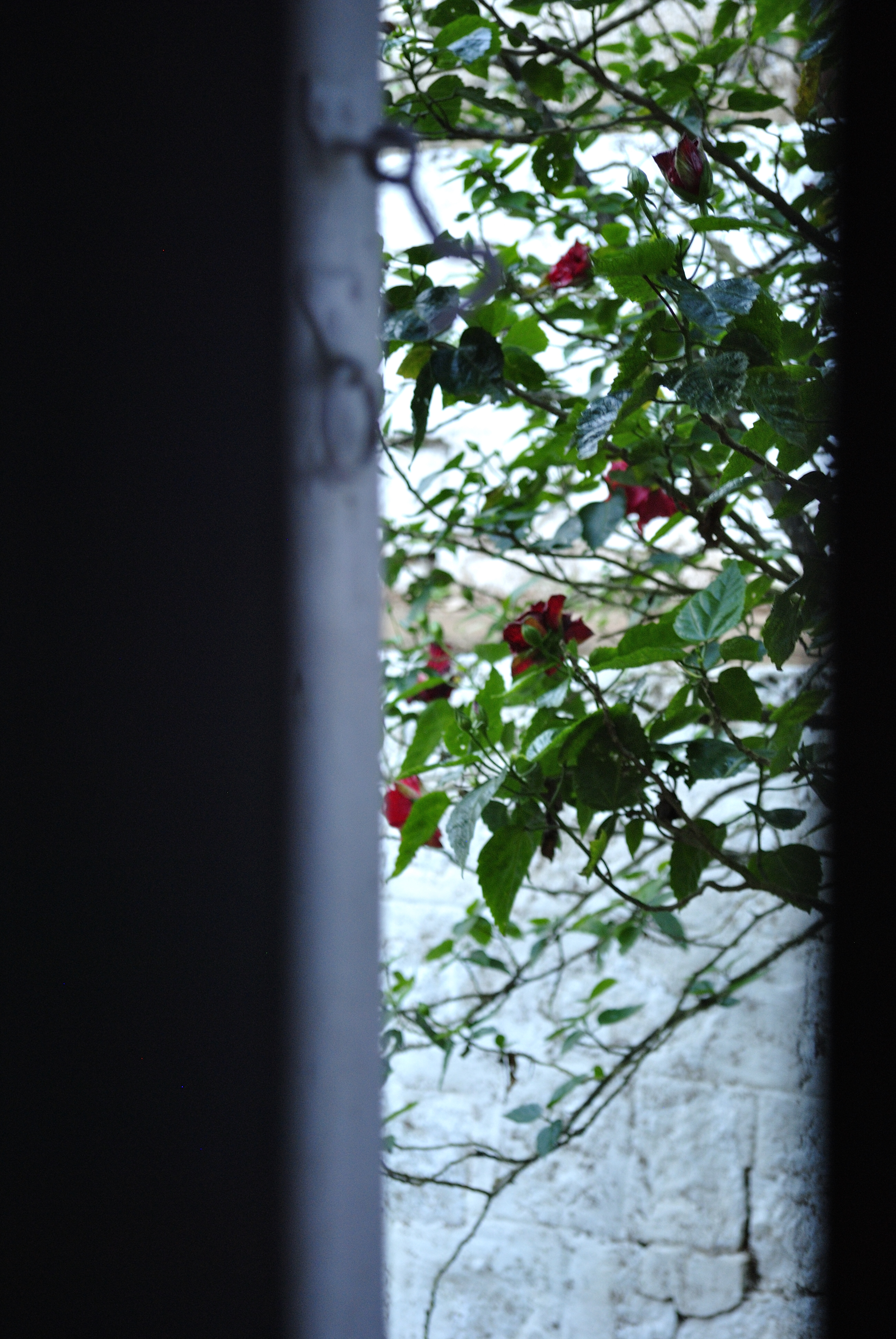 Potli Baba travelled over to The Girl Next Door’s blog home last week.